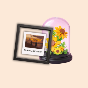 Cuadro con flor San Valentin